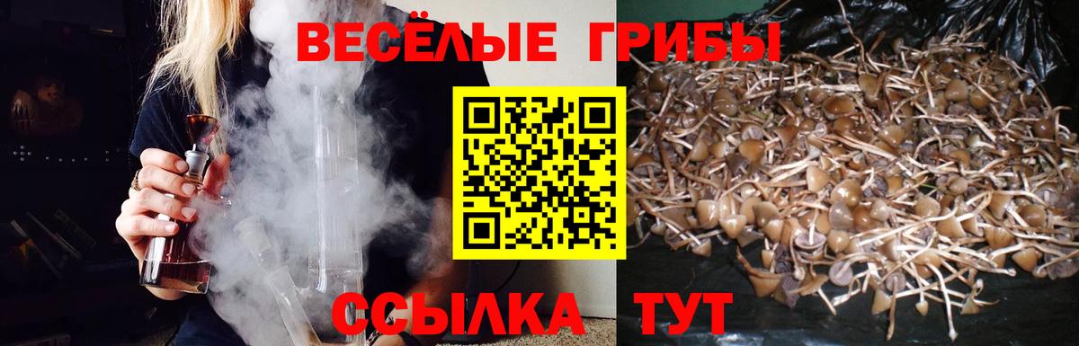 Галлюциногенные грибы MAGIC MUSHROOMS  Галлюциногенные грибы Cubensis  купить наркотик  Вход с VPN  Кашира 